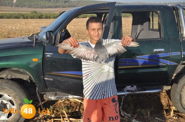 7amam lud monir 908 (60).JPG